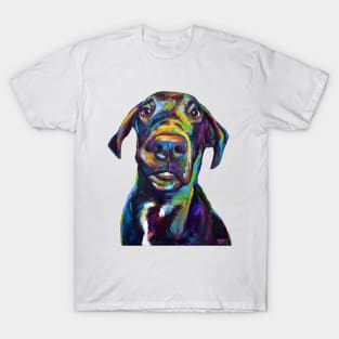 Handsome Hank The Great Dane T-Shirt